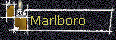 Marlboro