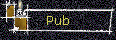 Pub