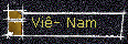 Vi�- Nam