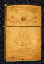 Leon2n.JPG (13064 octets)